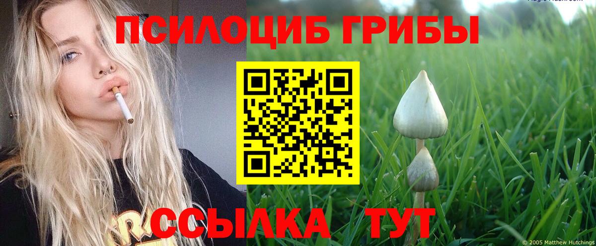 Галлюциногенные грибы ЛСД Брянск