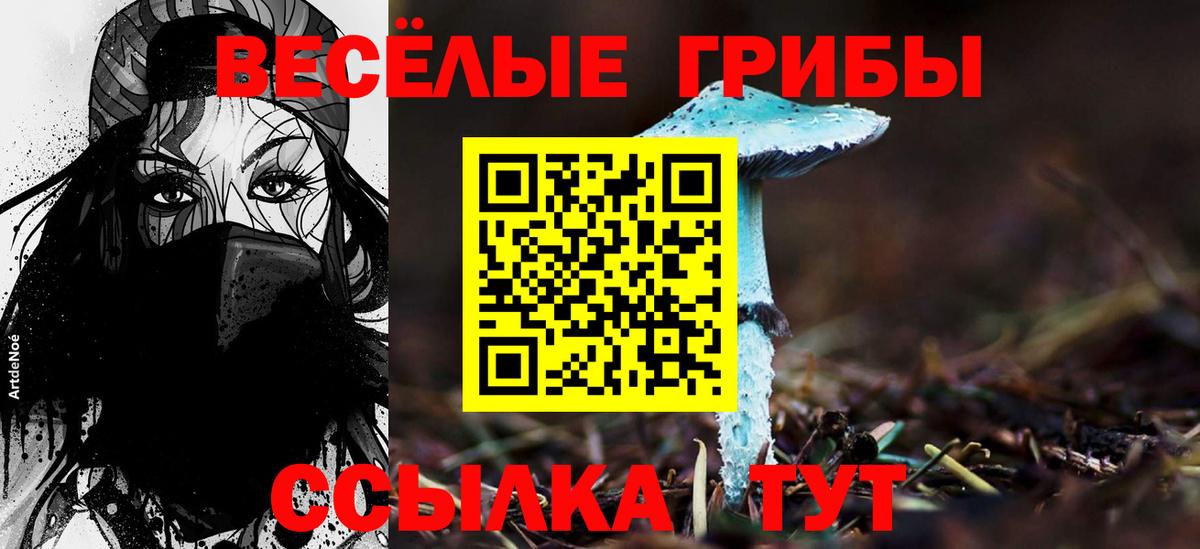 Псилоцибиновые грибы GOLDEN TEACHER  Псилоцибиновые грибы прущие грибы  где найти   Брянск  Вход с VPN 